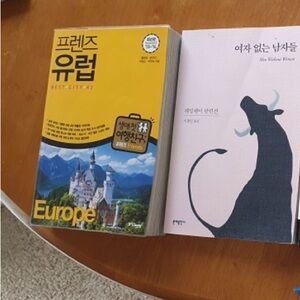 Europe Travel Guide Book